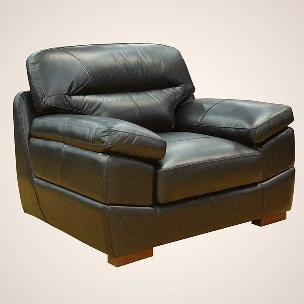 Sunset Trading Jayson 49" Modern Top-Grain Leather Armchair in Black